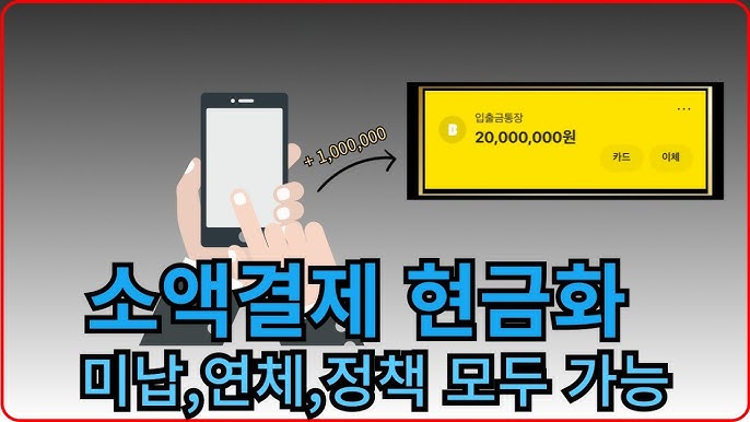소액결제 정책